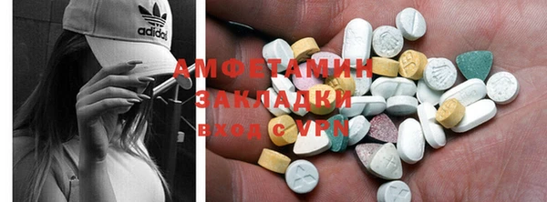 индика Бородино