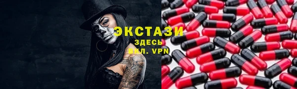 индика Бородино