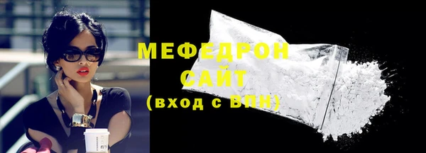 индика Бородино