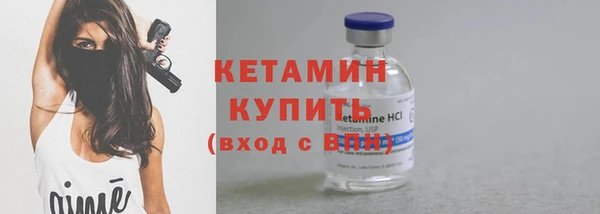 индика Бородино