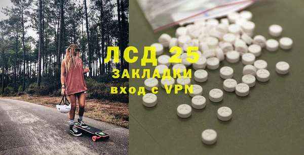 индика Бородино