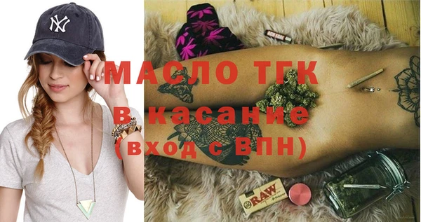 индика Бородино