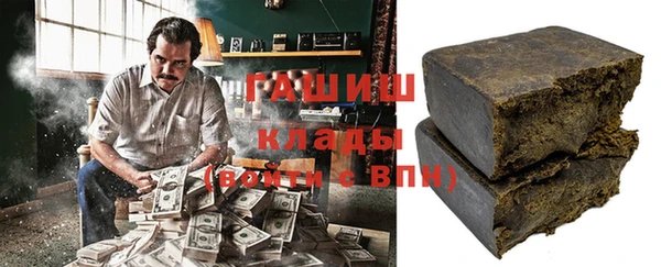 индика Бородино