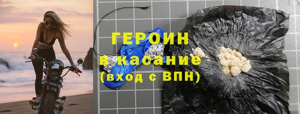индика Бородино