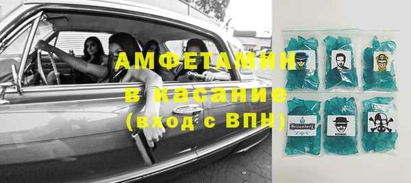 индика Бородино