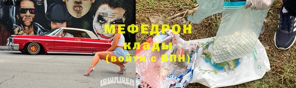 индика Бородино