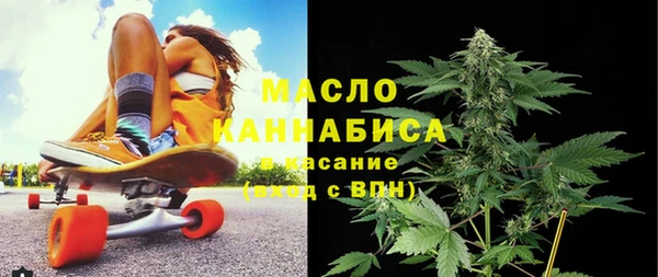 индика Бородино
