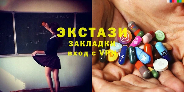 индика Бородино