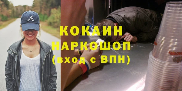 индика Бородино