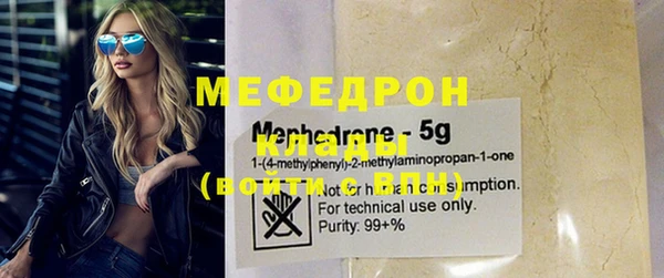 индика Бородино