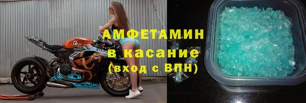 индика Бородино