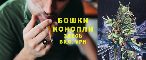 индика Бородино