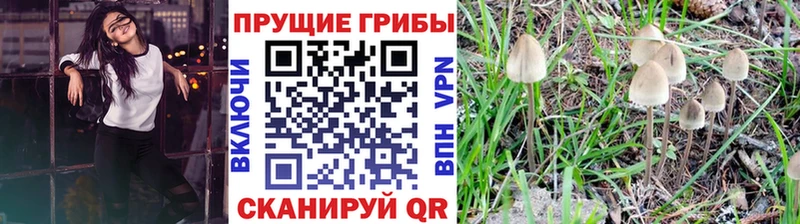 Псилоцибиновые грибы мухоморы Купить Кудрово